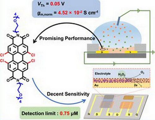 445CC32C0FC1DA5CCE179C012D0_0B00DB79_B11F