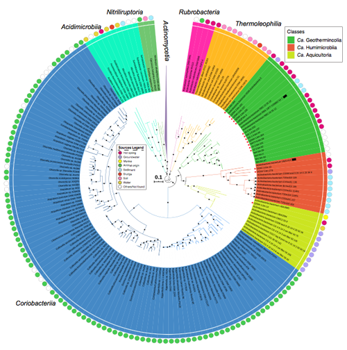 ��ҳ|ng������Ϸ�й����Źٷ���վ