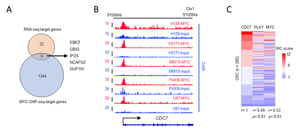 ��ҳ|ng������Ϸ�й����Źٷ���վ