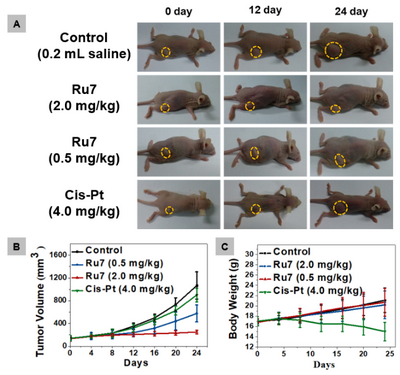 ��ҳ|ng������Ϸ�й����Źٷ���վ