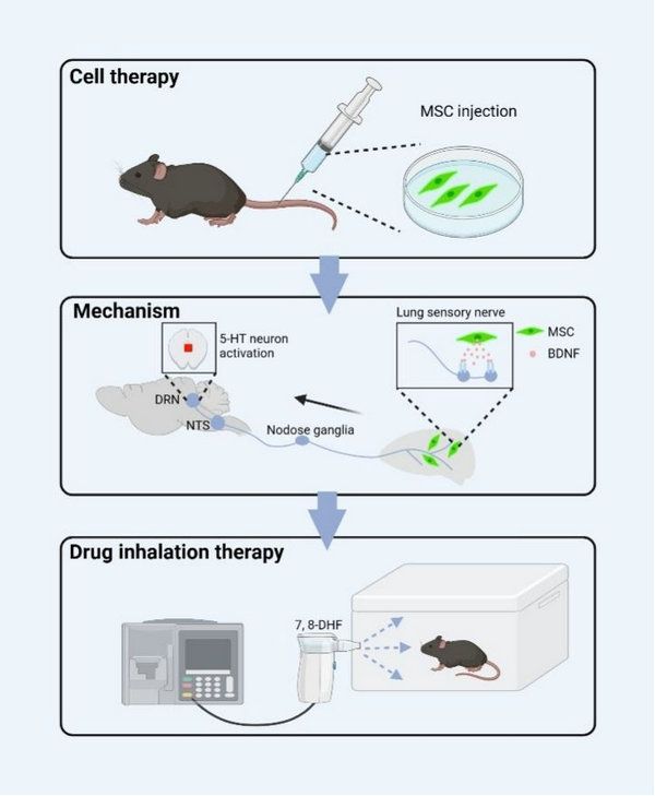 B617DD74E976E1CD1FB833ACA99_851C7578_B3FA