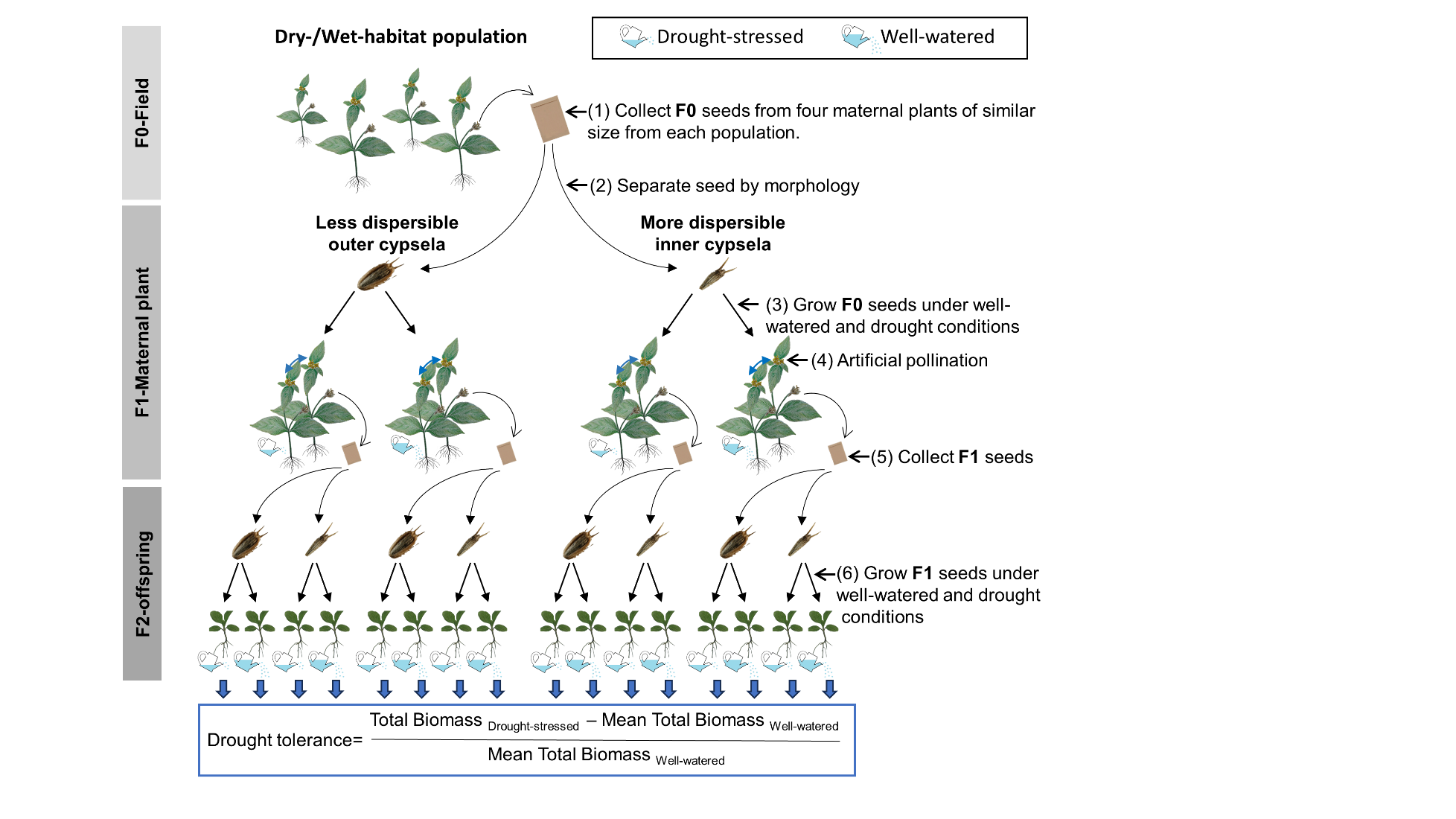 D700D50A65B85446C9AFC6F9F20_C8998F3F_5E98D