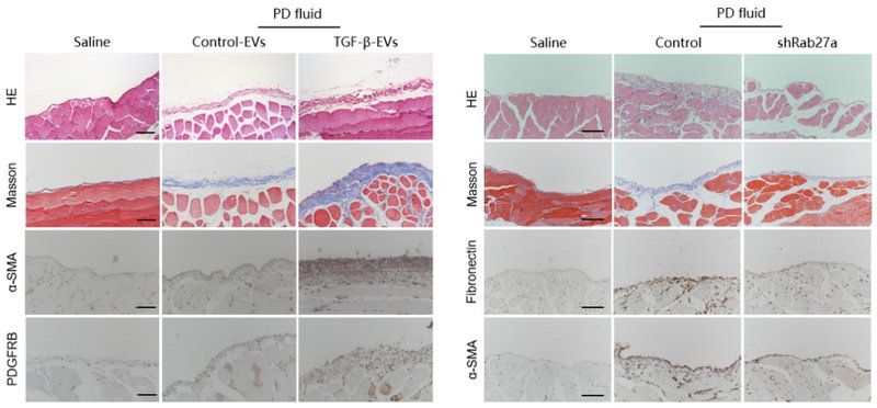 D5332FFC44ACAF15C7239E11960_6AFEEA8E_CC7C