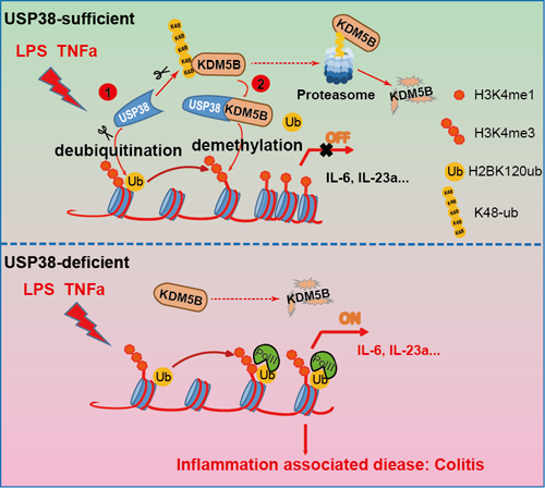 ��ҳ|ng������Ϸ�й����Źٷ���վ