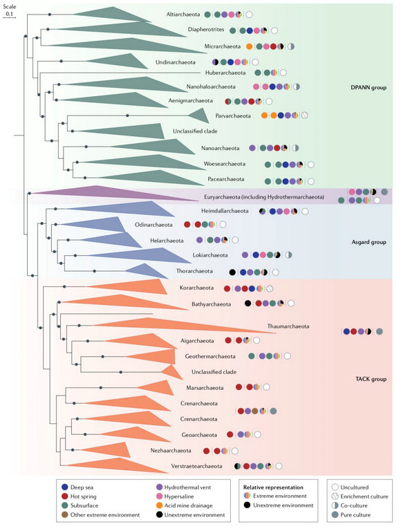 ��ҳ|ng������Ϸ�й����Źٷ���վ