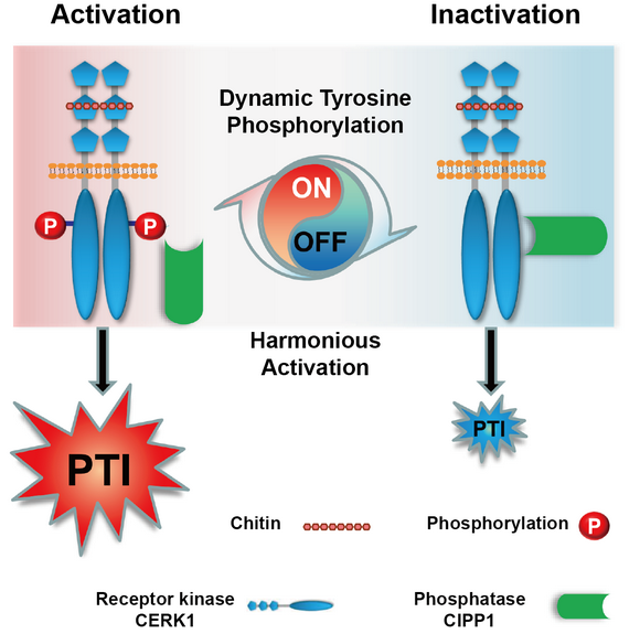 ��ҳ|ng������Ϸ�й����Źٷ���վ