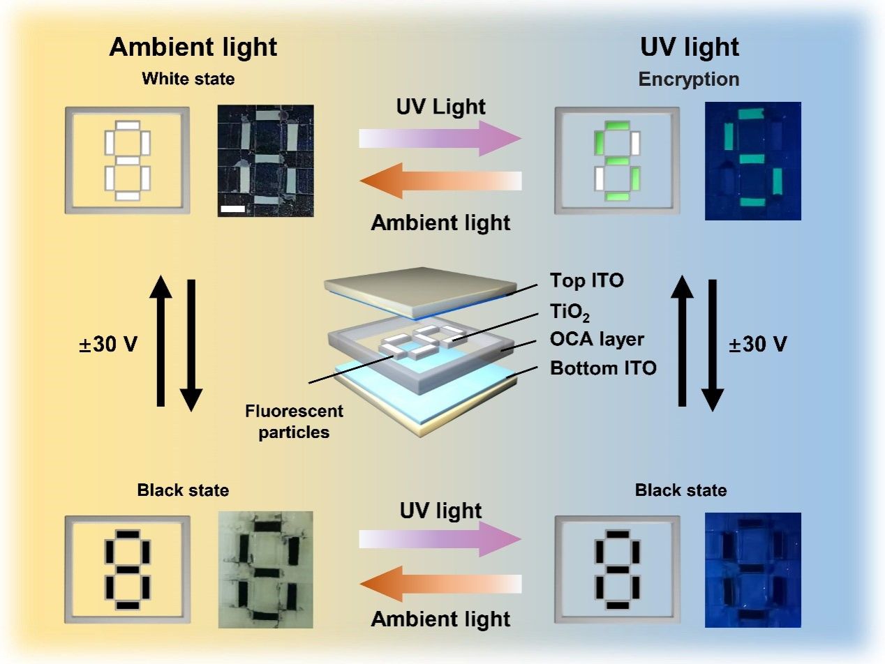 994A0CC5AECD080E0CFB0F6D6CC_313C2A48_1B35B