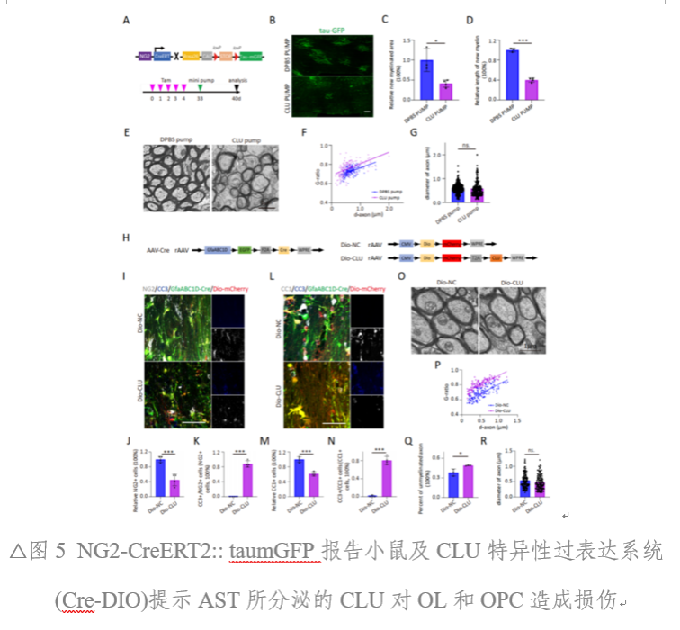 C24C2A0BEF48920388B80195275_20779485_43A90
