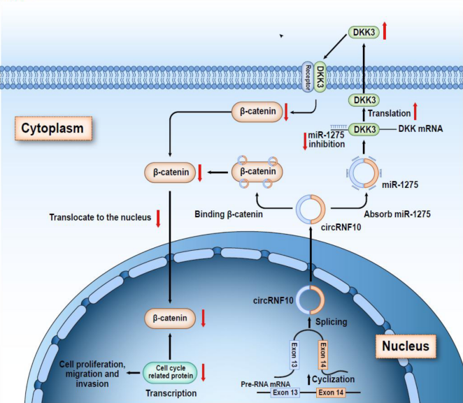 ��ҳ|ng������Ϸ�й����Źٷ���վ