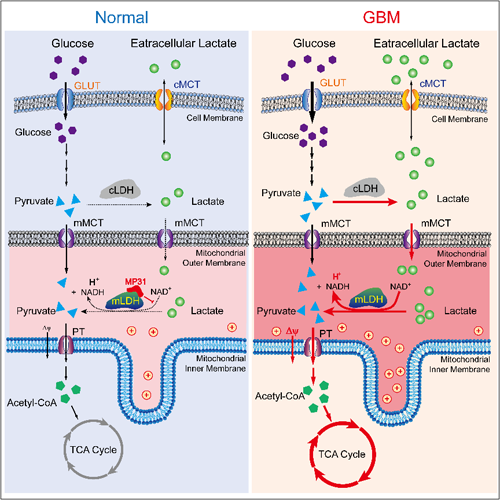 ��ҳ|ng������Ϸ�й����Źٷ���վ
