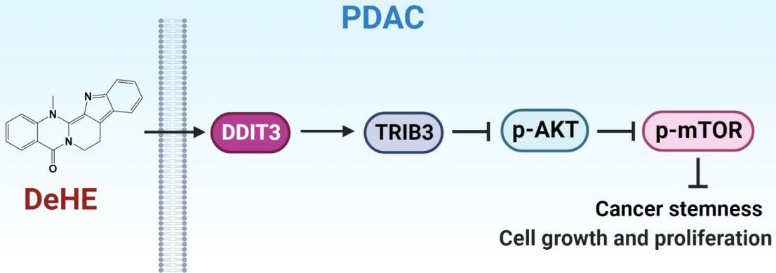 ��ҳ|ng������Ϸ�й����Źٷ���վ