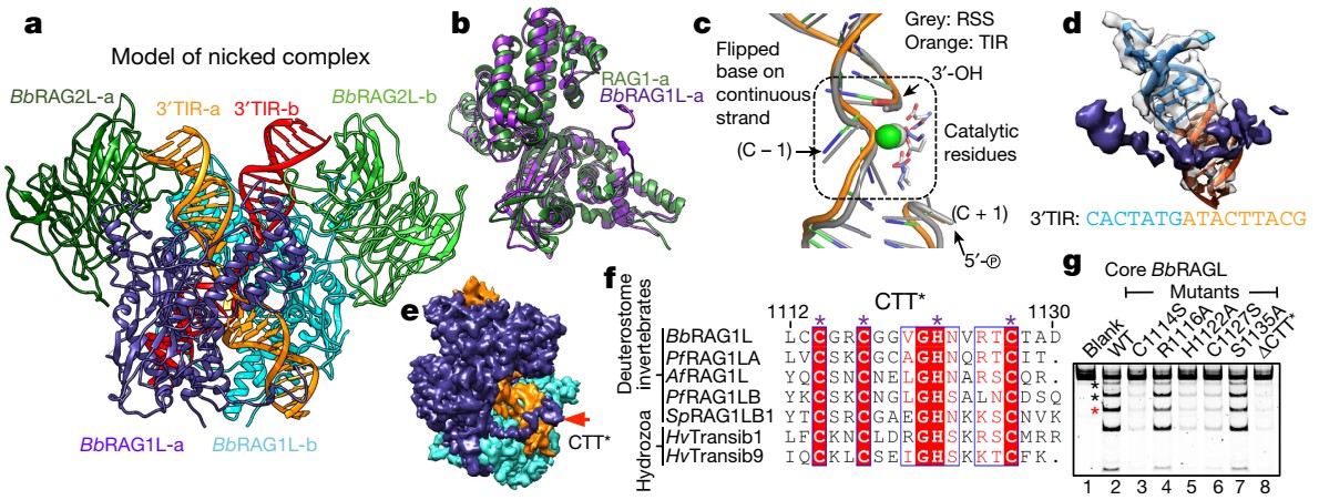 ��ҳ|ng������Ϸ�й����Źٷ���վ