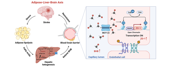 59C8962BBB0664C9A1B3106EACB_B8807D09_EA92