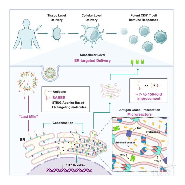 AA77FC99685F569462C7972E8C7_99829B5C_44502