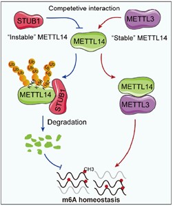 26824DFD26AC3EC1B0558DEC173_FB9327AE_5AC9
