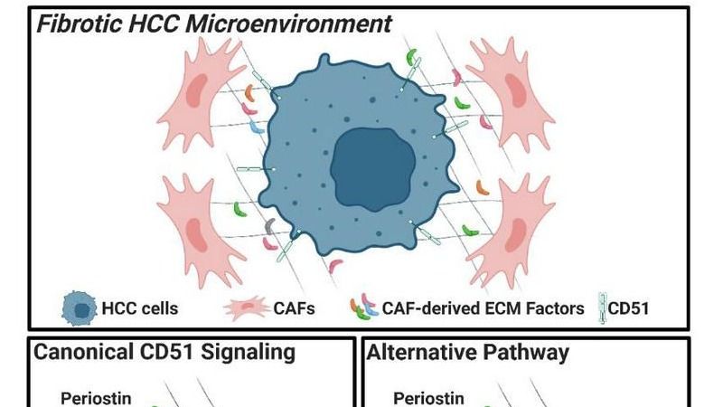 ��ҳ|ng������Ϸ�й����Źٷ���վ
