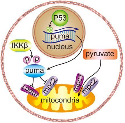 ��ҳ|ng������Ϸ�й����Źٷ���վ