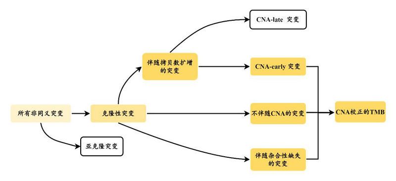 04B38D3113180417DF6F00E4F6A_2E607AEC_5DA0