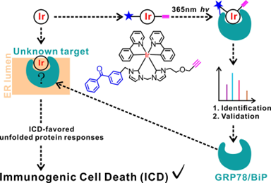 C051DF5912F97C85808AAE8A5D8_CCC91576_C507