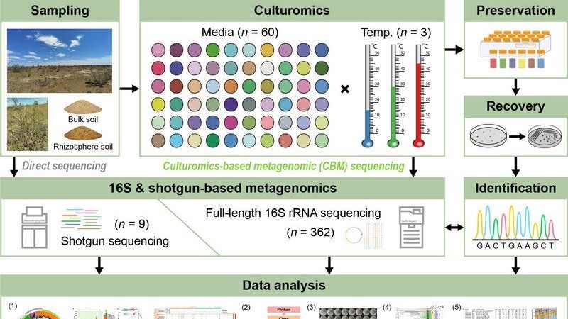 ��ҳ|ng������Ϸ�й����Źٷ���վ