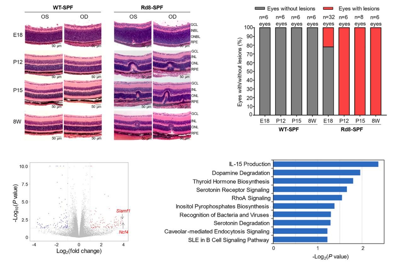 6C997B9B40760591DAB8E747783_EFE6684A_23863