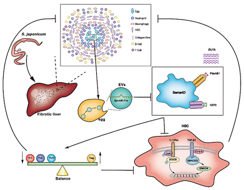 ��ҳ|ng������Ϸ�й����Źٷ���վ