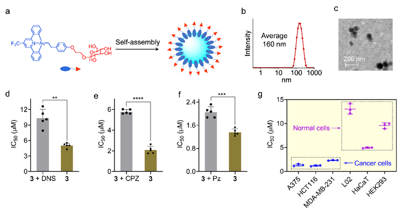 ��ҳ|ng������Ϸ�й����Źٷ���վ