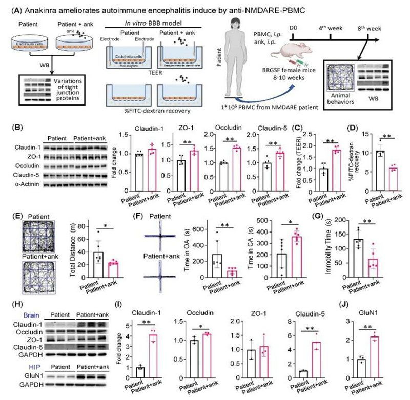 76830A14E387ECA4397F71E8A6F_A9F980D4_1E4A7