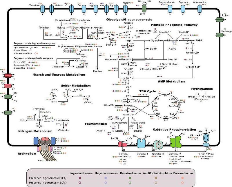 111A6B229816DF966D9BBDE63E2_23F35BC1_1B187