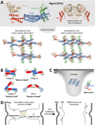 ��ҳ|ng������Ϸ�й����Źٷ���վ