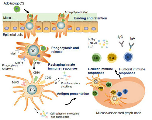 ��ҳ|ng������Ϸ�й����Źٷ���վ
