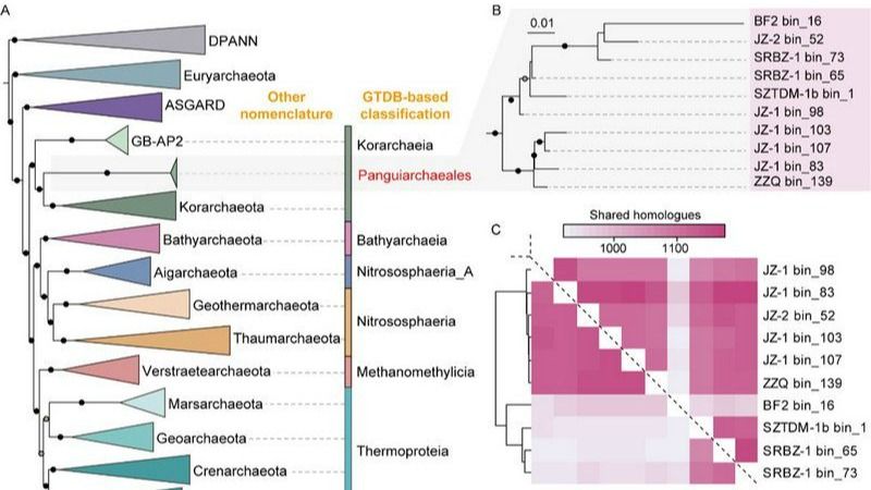 ��ҳ|ng������Ϸ�й����Źٷ���վ