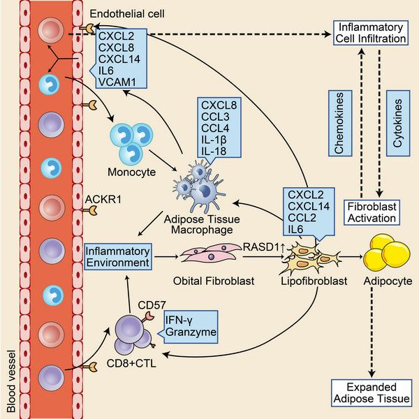 C16D617E6BF02AAE1C6558F2CC2_9580C0BF_13805 C16D617E6BF02AAE1C6558F2CC2_9580C0BF_13805