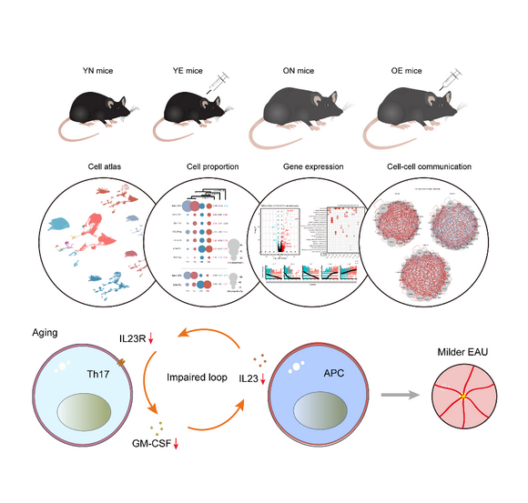 ��ҳ|ng������Ϸ�й����Źٷ���վ