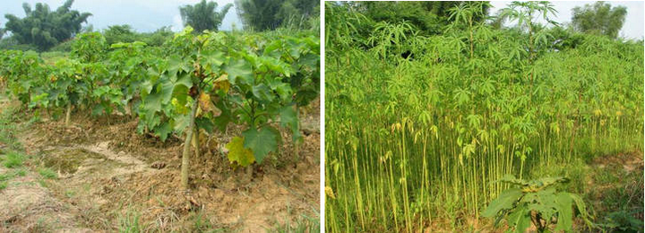 ��ҳ|ng������Ϸ�й����Źٷ���վ