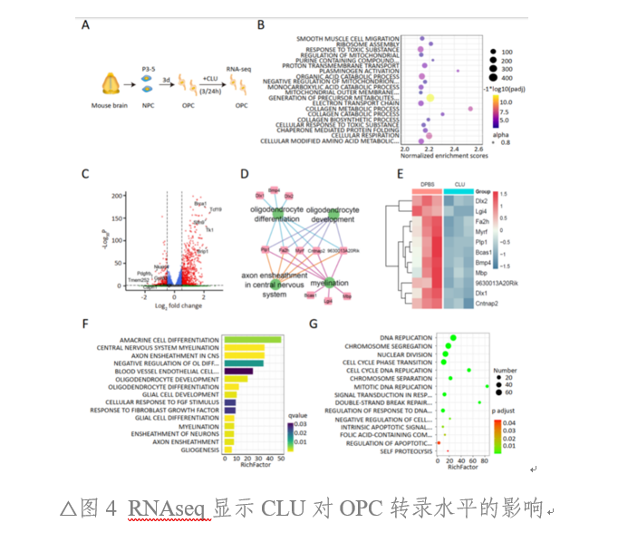 79364AE18ABB7D3697719A044C7_0C4E3B3C_35C93