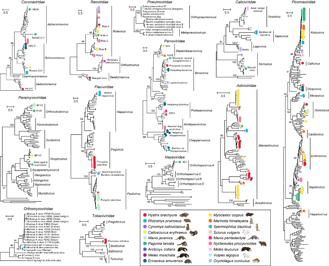 ��ҳ|ng������Ϸ�й����Źٷ���վ