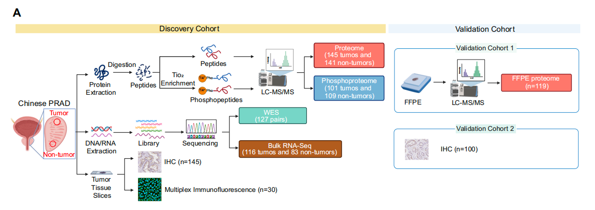 7361C83913D64131F4E9D323338_7891B488_1F8C7