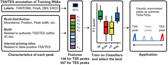 ��ҳ|ng������Ϸ�й����Źٷ���վ