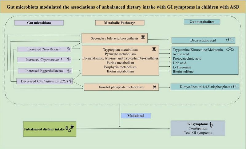 07CF88D0BEB861995472F56CDCA_684255A1_F803