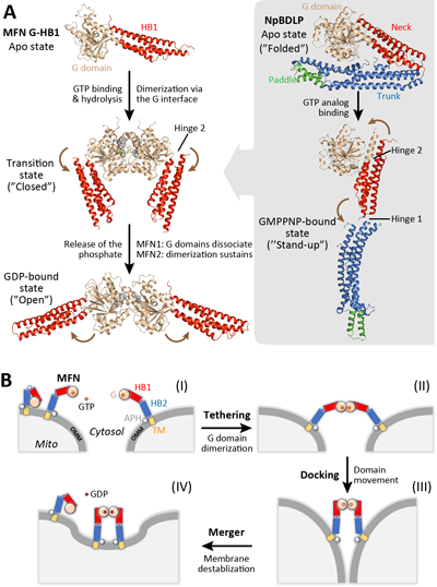 513D7FC61E002AD5D95141D979A_F3494AD3_254CB.png?e= Ê×Ò³|ngµç×ÓÓÎÏ·Öйú¼¯ÍŹٷ½ÍøÕ¾