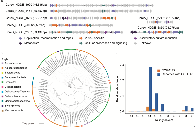 ��ҳ|ng������Ϸ�й����Źٷ���վ