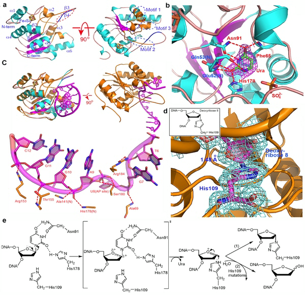 ��ҳ|ng������Ϸ�й����Źٷ���վ