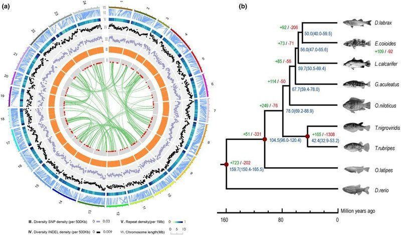 ��ҳ|ng������Ϸ�й����Źٷ���վ