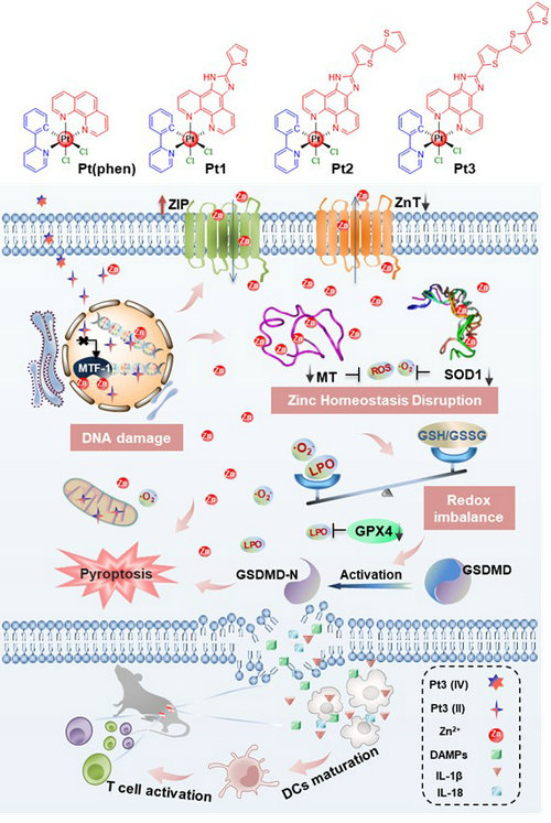 8BB3B0F8D44A9DEB48F6290BD8A_8E8DFE61_1A9F1