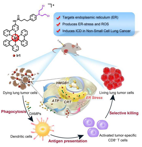 ��ҳ|ng������Ϸ�й����Źٷ���վ