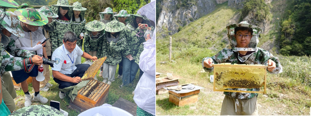 E3F159748C14A5C7685210B930D_ED2B6B10_123700