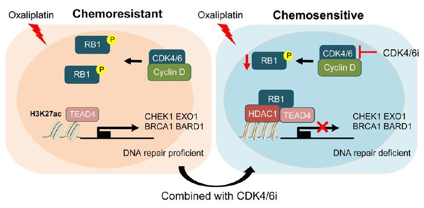 ��ҳ|ng������Ϸ�й����Źٷ���վ