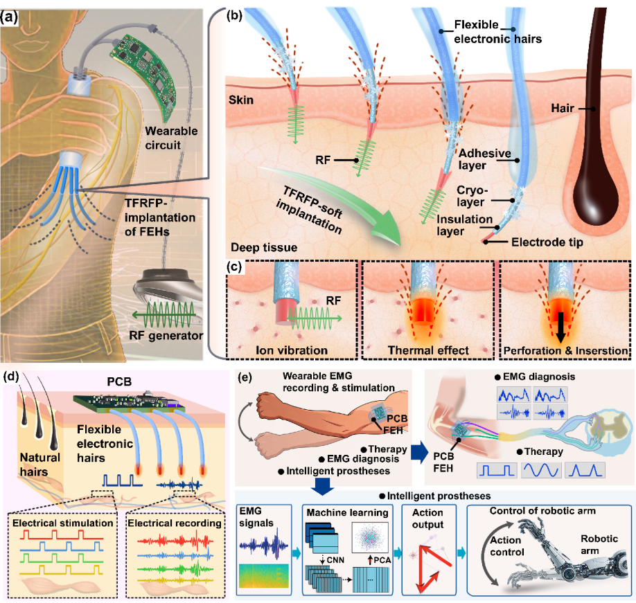 C1E40C36F1557D5EBAE8724C814_3A9105AF_11834A