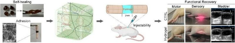 E43422DCB6C60668F468F9305B6_13740820_6450 E43422DCB6C60668F468F9305B6_13740820_6450